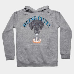 GREAT DANE BEING CUTE Hoodie